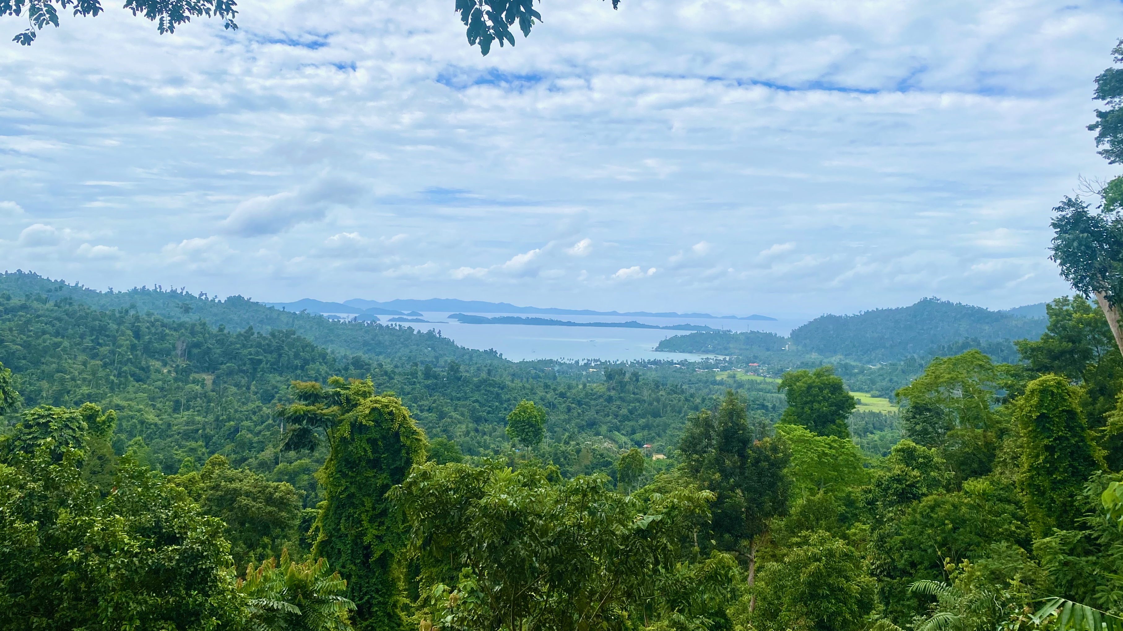 First glimpse of Port Barton Bay through the rainforest